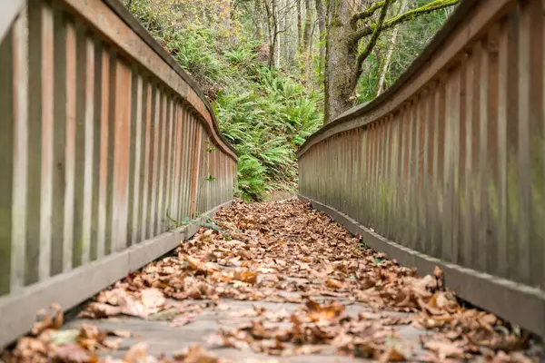 Sendero cubierto con hojas secas caídas con barandillas de madera en Tacoma, Washington —  Fotos de Stock