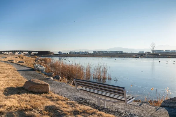 Vue d'un banc métallique à l'avant d'un lac avec des herbes et des oies sauvages flottantes — Photo