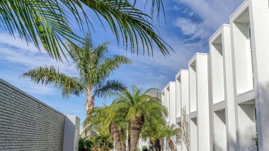 Pano, Huntington Sahili 'ndeki evlerin ön cephesinde güzelce döşenmiş bir bahçe.