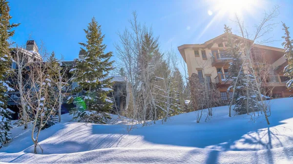 Pano Luz do sol irradiando para baixo na neve em torno das casas e árvores no inverno — Fotografia de Stock