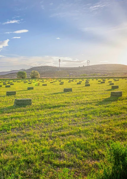 Vertical Utah Valley paisaje agrícola de tierras de cultivo con pastos verdes vibrantes — Foto de Stock