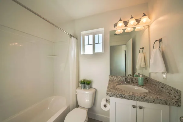 Malý interiér koupelny s okny a dvěma zelenými rostlinami na kovových hrncích — Stock fotografie