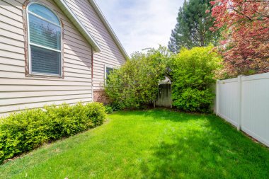 Yeşil bitkiler ve ahşap kapılı bir evin yan bahçesi.