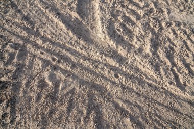 Kuru topraklarda martı pençesi izlerini kapatın.