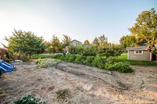 Potager dans la cour d'une maison près du hangar à outils — Photo