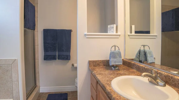 Pano Cuarto de baño interior con lavabo de mármol incorporado, bañera, inodoro y ducha — Foto de Stock