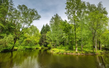 Botanik bahçesindeki ağaçların orada..
