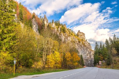 Sonbaharda bir dağ vadisinde kayalık bir vadiden geçen yol. Mala Fatra Ulusal Parkı 'ndaki Vratna Vadisi, Slovakya, Avrupa.