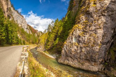 Sonbaharda bir dağ vadisinde kayalık bir vadiden geçen yol. Mala Fatra Ulusal Parkı 'ndaki Vratna Vadisi, Slovakya, Avrupa.
