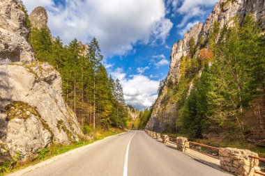 Sonbaharda bir dağ vadisinde kayalık bir vadiden geçen yol. Mala Fatra Ulusal Parkı 'ndaki Vratna Vadisi, Slovakya, Avrupa.