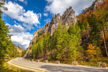 Sonbaharda bir dağ vadisinde kayalık bir vadiden geçen yol. Mala Fatra Ulusal Parkı 'ndaki Vratna Vadisi, Slovakya, Avrupa.