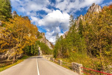 Sonbaharda bir dağ vadisinde kayalık bir vadiden geçen yol. Mala Fatra Ulusal Parkı 'ndaki Vratna Vadisi, Slovakya, Avrupa.