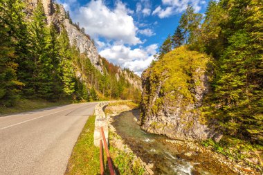 Sonbaharda bir dağ vadisinde kayalık bir vadiden geçen yol. Mala Fatra Ulusal Parkı 'ndaki Vratna Vadisi, Slovakya, Avrupa.