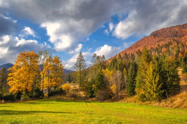 Bir dağ vadisinde sonbahar kırsal arazisi. Mala Fatra Ulusal Parkı 'ndaki Vratna Vadisi, Slovakya, Avrupa.