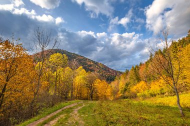 Sonbaharda dağ vadisi manzarası. Mala Fatra Ulusal Parkı 'ndaki Vratna Vadisi, Slovakya, Avrupa.