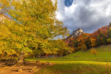 Sonbaharda dağ vadisi manzarası. Mala Fatra Ulusal Parkı 'ndaki Vratna Vadisi, Slovakya, Avrupa.