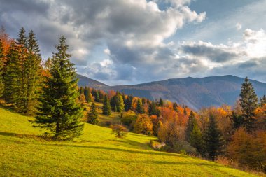 Sonbaharda dağ vadisi manzarası. Mala Fatra Ulusal Parkı 'ndaki Vratna Vadisi, Slovakya, Avrupa.