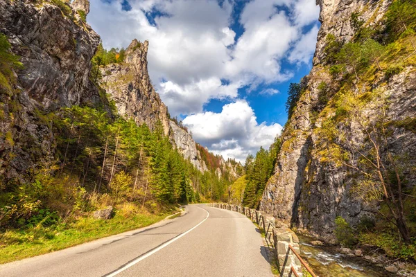 Sonbaharda bir dağ vadisinde kayalık bir vadiden geçen yol. Mala Fatra Ulusal Parkı 'ndaki Vratna Vadisi, Slovakya, Avrupa.
