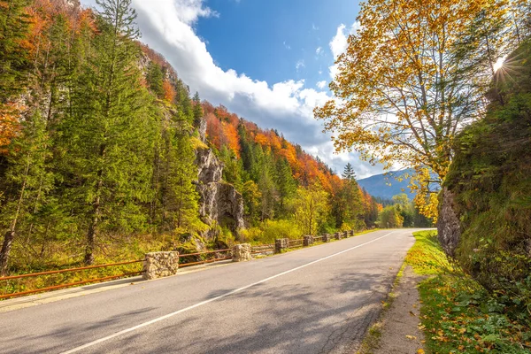 Sonbaharda bir dağ vadisinde kayalık bir vadiden geçen yol. Mala Fatra Ulusal Parkı 'ndaki Vratna Vadisi, Slovakya, Avrupa.