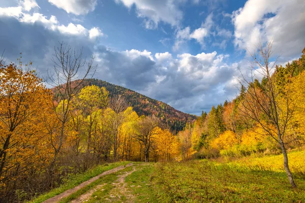 Paisagem Vale Montanha Outono Vale Vratna Parque Nacional Mala Fatra — Fotografia de Stock