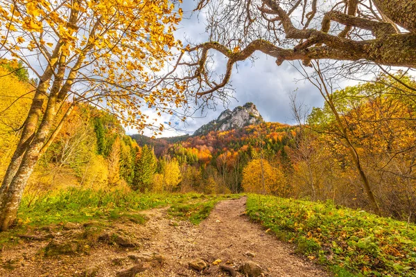 Paesaggio Montagna Valle Autunno Valle Del Vratna Nel Parco Nazionale — Foto Stock