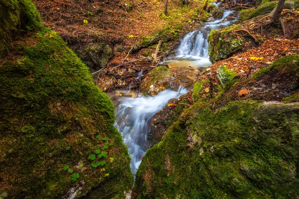 Wasserfall Wildbach Einem Wald Herbst Das Vratna Tal Nationalpark Mala — Stockfoto
