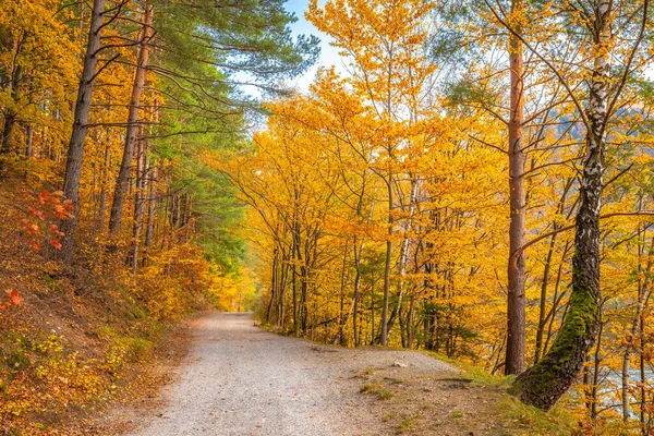 Podzimní Venkovská Krajina Špinavá Cesta Lemovaná Barevnými Stromy — Stock fotografie