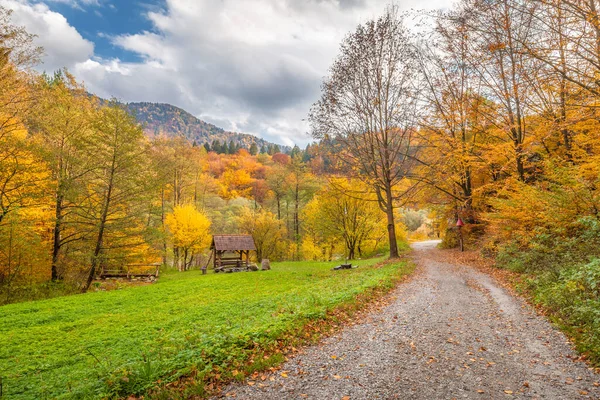 Väg Genom Höstens Landsbygdslandskap Med Färgglada Träd — Stockfoto