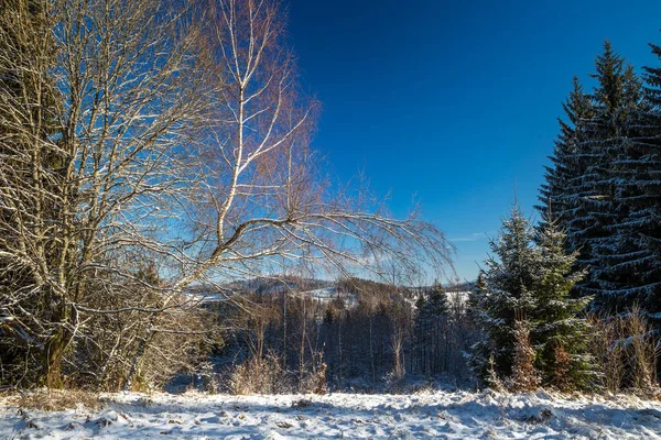 Utsikt Över Vinterlandskapet Norra Slovakien Europa — Stockfoto