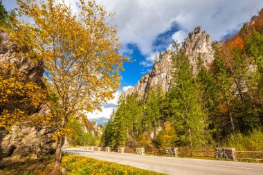 Sonbaharda bir dağ vadisinde kayalık bir vadiden geçen yol. Mala Fatra Ulusal Parkı 'ndaki Vratna Vadisi, Slovakya, Avrupa.