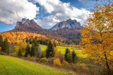 Arka planda dağlar olan sonbahar kırsal manzarası. Mala Fatra Ulusal Parkı 'ndaki Vratna Vadisi, Slovakya, Avrupa.