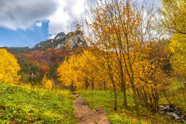秋天的山谷景观 欧洲斯洛伐克马拉法特拉国家公园的弗拉特纳山谷 — 图库照片
