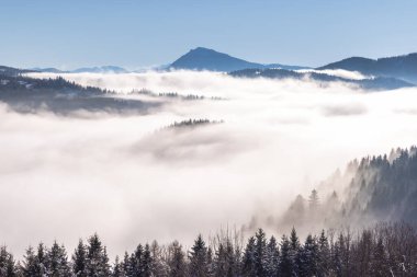 Sisli ve güneşli bir sabahta karlı bir kış manzarası. Slovakya 'nın kuzeyindeki Orava bölgesi, Avrupa.