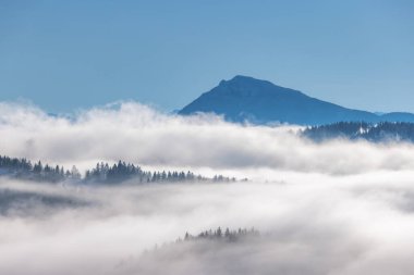 Sisli ve güneşli bir sabahta karlı bir kış manzarası. Slovakya 'nın kuzeyindeki Orava bölgesi, Avrupa.