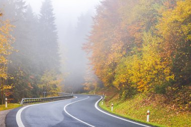 Winding autumn road with colorful foliage and fog, creating a scenic, misty atmosphere. Perfect for travel and nature backgrounds.