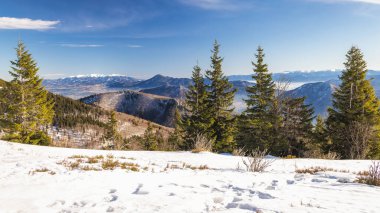 Her zaman yeşil ağaçlarla kaplı karlı dağ zirvesi. Slovakya, Avrupa 'daki Mala Fatra Milli Parkı' ndan görüntü.
