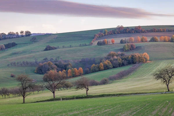 Rolling hills covered in grass and trees during the transition between summer and fall under a colorful sky at sunset. Moravia region of Czech Republic, Europe.