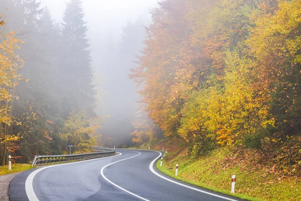 Winding autumn road with colorful foliage and fog, creating a scenic, misty atmosphere. Perfect for travel and nature backgrounds.