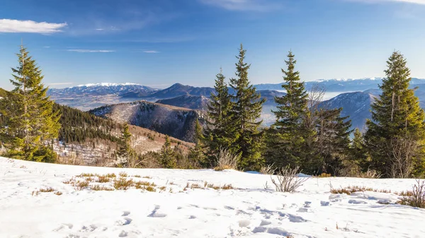 Her zaman yeşil ağaçlarla kaplı karlı dağ zirvesi. Slovakya, Avrupa 'daki Mala Fatra Milli Parkı' ndan görüntü.