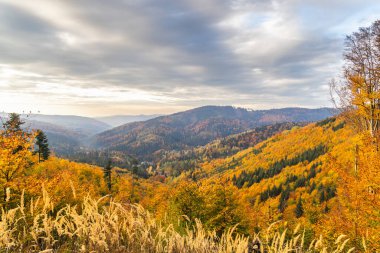 Vibrant autumn colors paint the mountain landscape creating a stunning scenic view beneath a cloudy sky capturing nature's beauty in the forest.