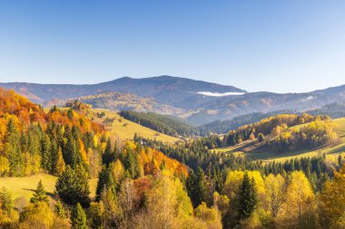 Autumnal hues blanket rolling hillsides beneath a serene blue sky Mountain range in the background, scenic landscape. Northwest of Slovakia, Europe.