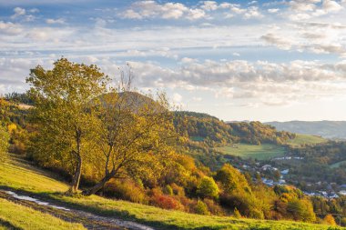 Golden hour illuminates a rolling hillside landscape, with autumn trees in vibrant colors, a winding dirt path, and a small village nestled in the valley.