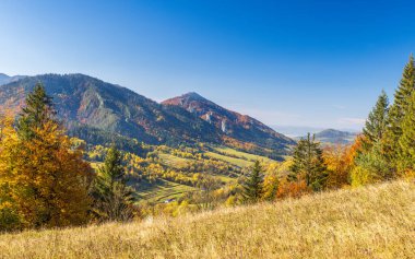 Parlak sonbahar manzarası, kıvrımlı tepeler renkli ormanlar ve mavi gökyüzü doğanın mevsimsel dönüşümünün güzelliğini gözler önüne seriyor. Slovakya 'nın kuzeybatısındaki Mala Fatra Milli Parkı, Avrupa.