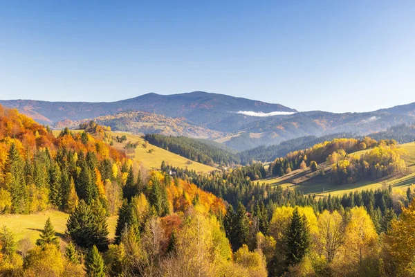 Autumnal hues blanket rolling hillsides beneath a serene blue sky Mountain range in the background, scenic landscape. Northwest of Slovakia, Europe.