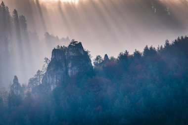 Güneş ışınları sisi delip geçer, yoğun bir ormanın ortasında kayalık bir çıkıntıyı aydınlatır. Huzurlu, görkemli ve ruhani ışıkta yıkanmış. Slovakya, Avrupa 'daki Mala Fatra Milli Parkı.