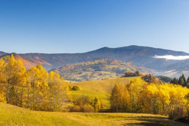 Altın saat, sonbahar yapraklarının altını çizen sıcak bir ışık altında pitoresk bir dağ vadisini yıkıyor. Slovakya 'nın kuzeybatısı, Avrupa.