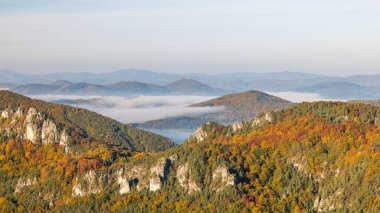 Titrek sonbahar yaprakları dağlık araziyi kaplıyor. Sis tabakası, sakin bir gökyüzünün altındaki uzak tepeleri yumuşatıyor. Sulov Kayalıkları, Slovakya, Avrupa 'nın kuzeybatısında ulusal doğa rezervi..