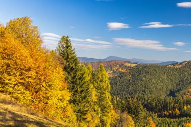 Sonbahar renkleri, Avrupa 'nın Çek Cumhuriyeti' nin Moravya bölgesinde açık mavi gökyüzü altında canlı bir dağ manzarası çizer..