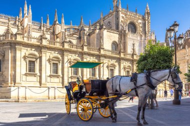 Seville, İspanya - 8 Eylül 2024 Seville Katedrali, Saint Mary of the See Katedrali. Güneşli bir günde büyük bir katedralin önüne at arabası park edilmiş. Turistler yakınlarda geziniyor..