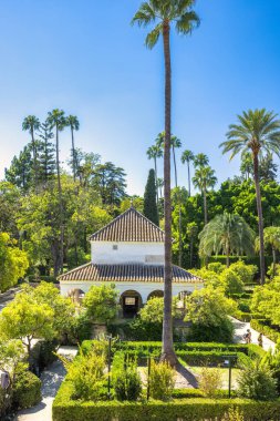 Seville, İspanya - 8 Eylül 2024: Sevilla Alcazar, tarihi kraliyet sarayı. Akdeniz bahçesinde beyaz bir pavyon, palmiye ağaçları ve açık mavi gökyüzünün altında yemyeşil..